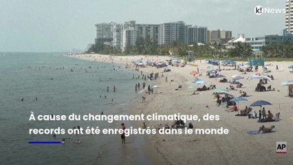 Record de chaleur en Floride : la température de l'eau mesurée à 38 degrés