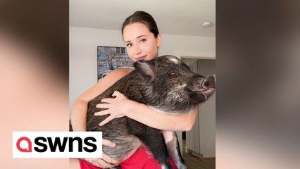 "I trained my pampered pet pig to 'speak' and even let him sleep in my bed"
