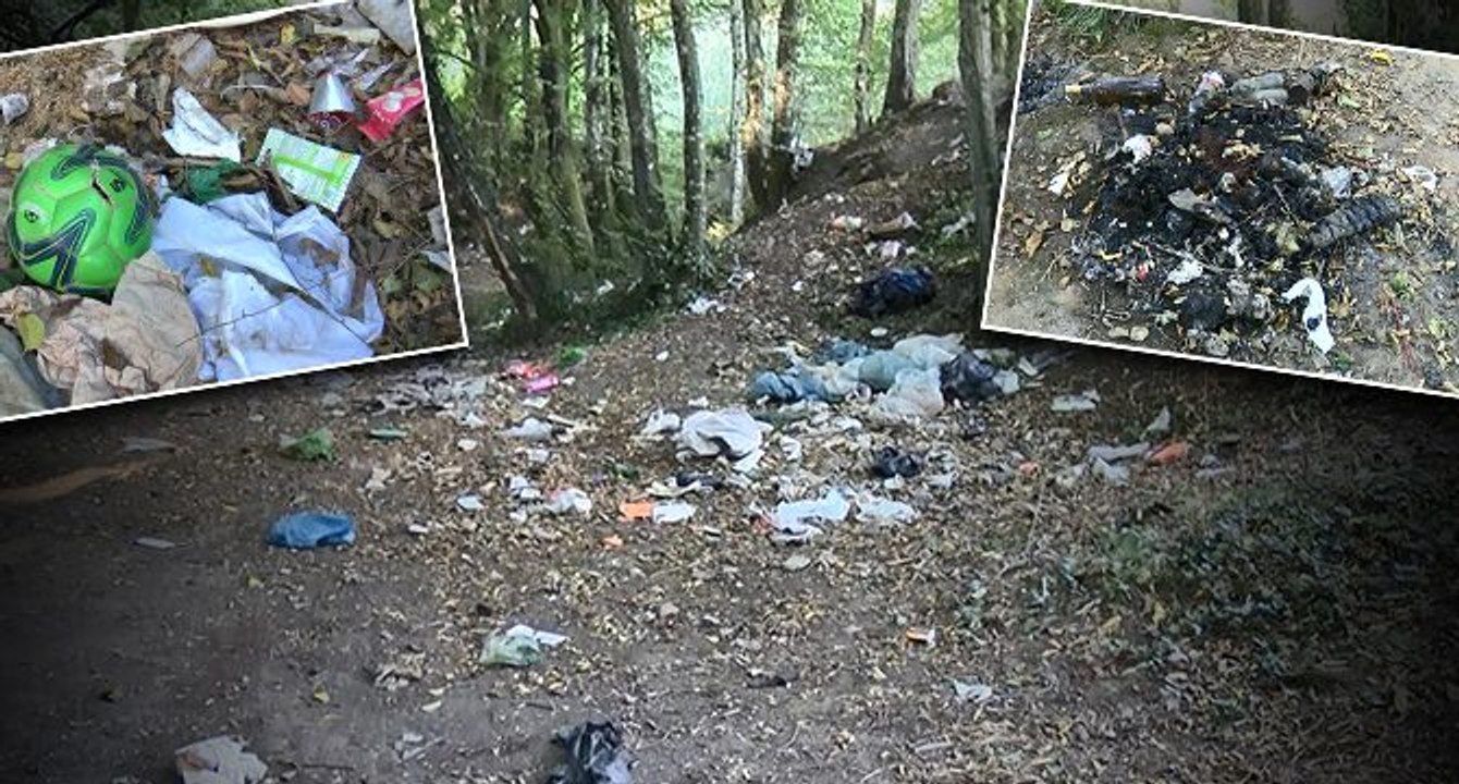 Belgrad Ormanı’na giden isyan etti: Tam 18 ton, bırakıp gittiler