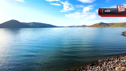 Kırmızı listedeki 4 kuş türü Ağrı'daki Balık Gölü'nde görüldü