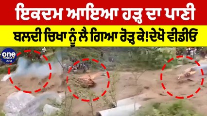 ਇਕਦਮ ਆਇਆ ਹੜ੍ਹ ਦਾ ਪਾਣੀ,ਬਲਦੀ ਚਿਖਾ ਨੂੰ ਲੈ ਗਿਆ ਰੋੜ੍ਹ ਕੇ! ਦੇਖੋ ਵੀਡੀਓ | Punjab Floods |OneIndia Punjabi