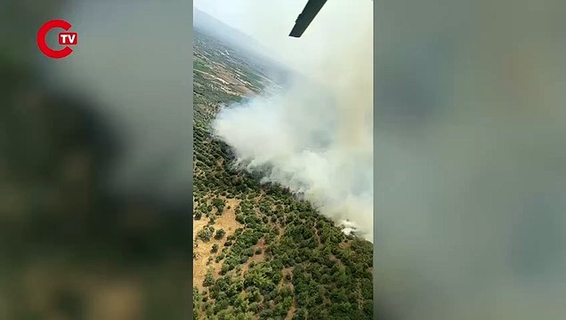 Ödemiş ve Kınık'ta orman yangını