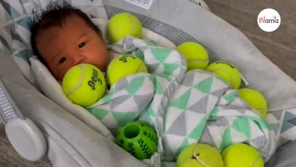 Corgi brings baby something that makes people scream with laughter (video)