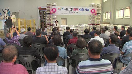 [경기] '임금님표 이천쌀' 미국서 호평... 대미 수출 4배 늘려 / YTN