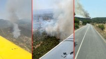 İzmir'in Ödemiş ve Kınık ilçelerinde orman yangını