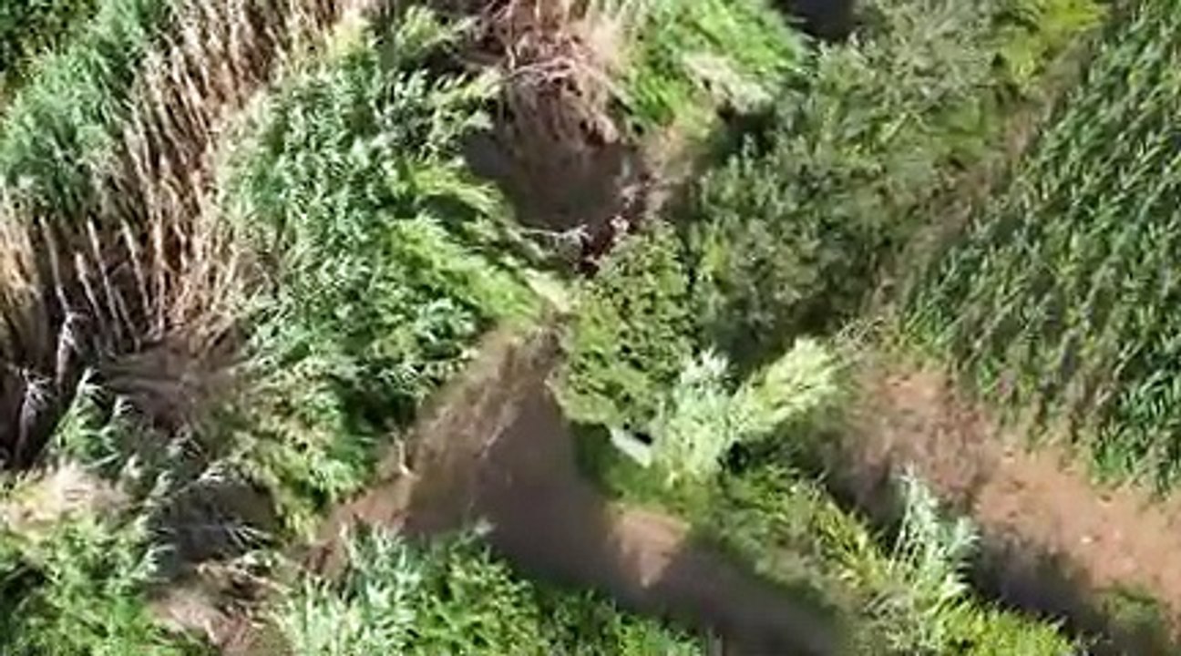 Piromane beccato dal drone