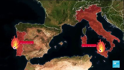 Feux en Grèce, Italie, Portugal : l'Europe du Sud touchée par des incendies meurtriers