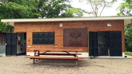 Cervecería Cedral, cerveza artesanal