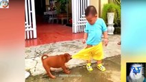 Funny cat and Dog videos 2023 / Best funniest Animals compilation