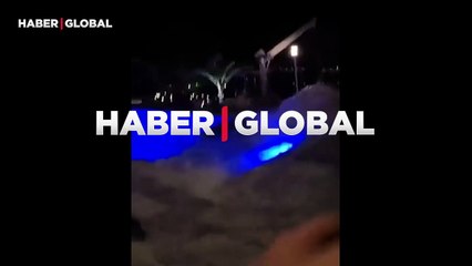 Havuza giren devasa timsahı, yakalamak için yaptıkları şoke etti