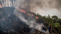 Agobiante ola de calor mantiene activos incendios en varios países de Europa