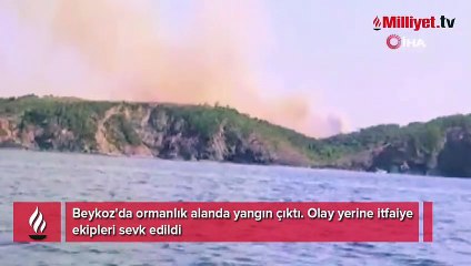 İstanbul'da orman yangını! Ekipler sevk edildi