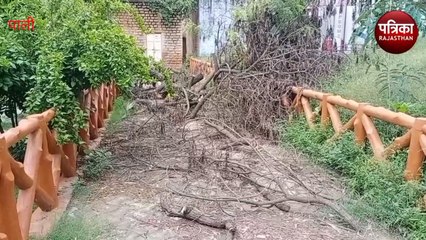 Science Park: चंद्रयान से परे यहां तो झाड़ियों में फंसा रॉकेट, डायनासोर की आवाज भी बंद
