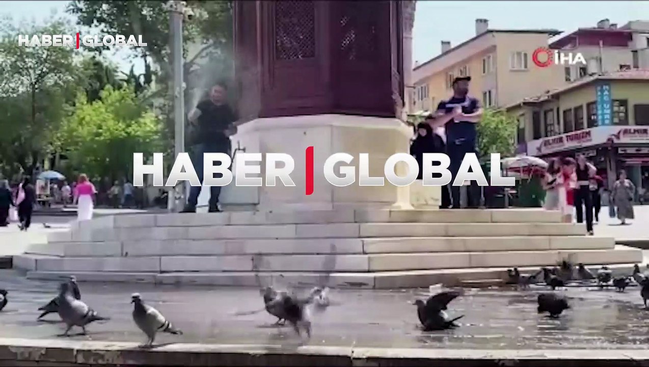 Bursa'da güvercinler kanatlarını açıp böyle serinledi: Hareketlerini izlemek gerçekten zevkli