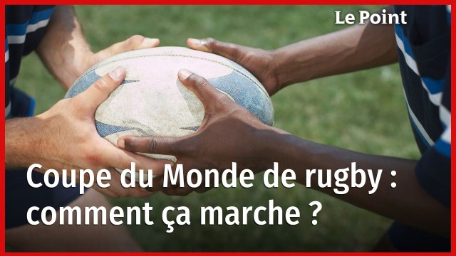 La Coupe du Monde de rugby : comment ça marche ?