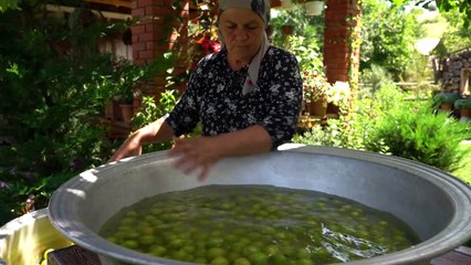 Nature beauty ! Glimpse in forest