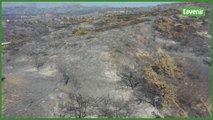 IMAGES AERIENNES : l'île grecque de Rhodes noircie par les feux de forêt