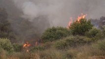 ‘Red alert’ fire risk issued for holiday islands Majorca, Menorca and Ibiza