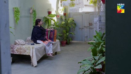 Dil Pe Zakham Khaye Hain - Ep 22 26th July 2023