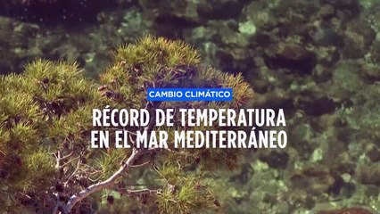 El mar Mediterráneo alcanza un nuevo récord de temperatura