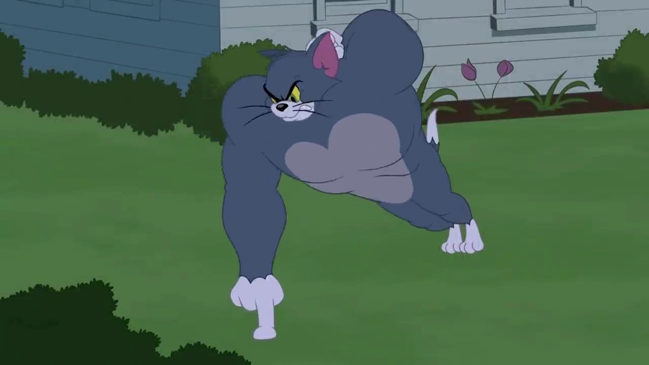 Tom and Jerry Funny Video