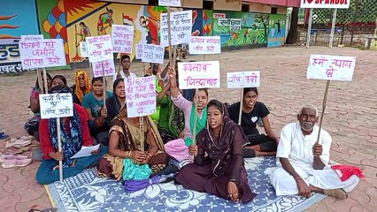 Did not get compensation and employment, plantation is being done on the land