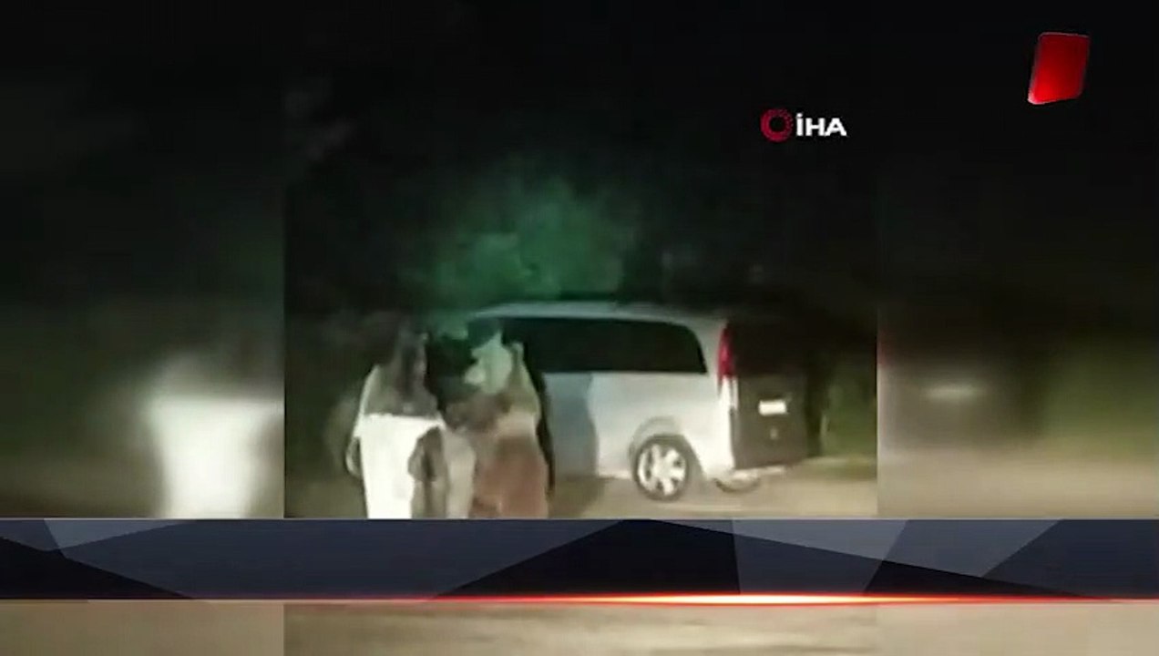 Bursa’da karnı acıkan ayı ailesi yemek bulmak için piknik alanına indi