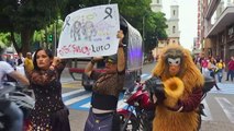 Cientos protestan en Colombia por asesinato de chimpancés