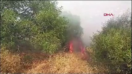 Afyonkarahisar’daki orman yangın kontrol altında! Soğutma çalışmları sürüyor