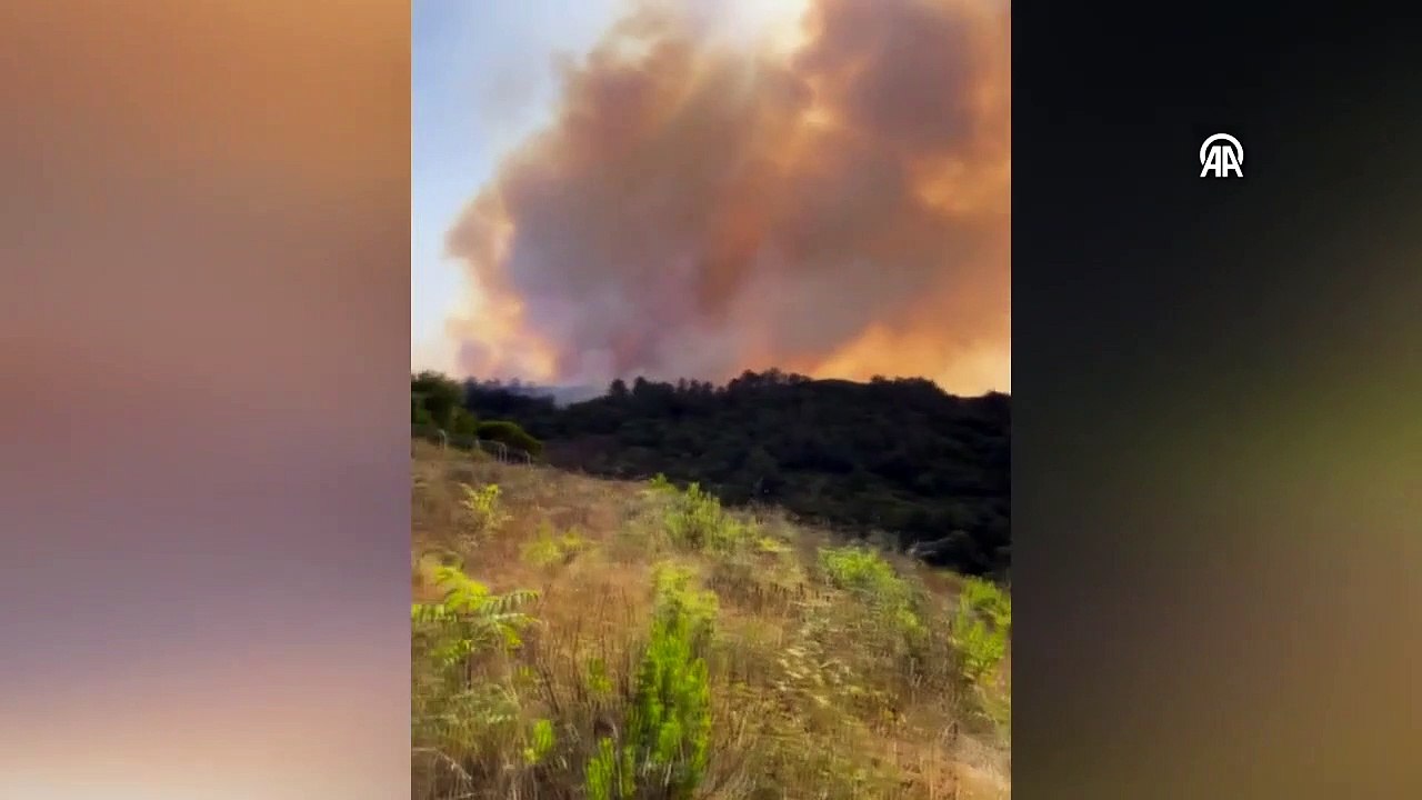Où est l'incendie de Beykoz, pourquoi est-il arrivé ? Dernière minute ! Le feu de forêt d'Istanbul Beykoz est-il éteint ?