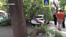 Başkentte aracın üstüne ağaç devrildi, vatandaşlar büyük panik yaşadı