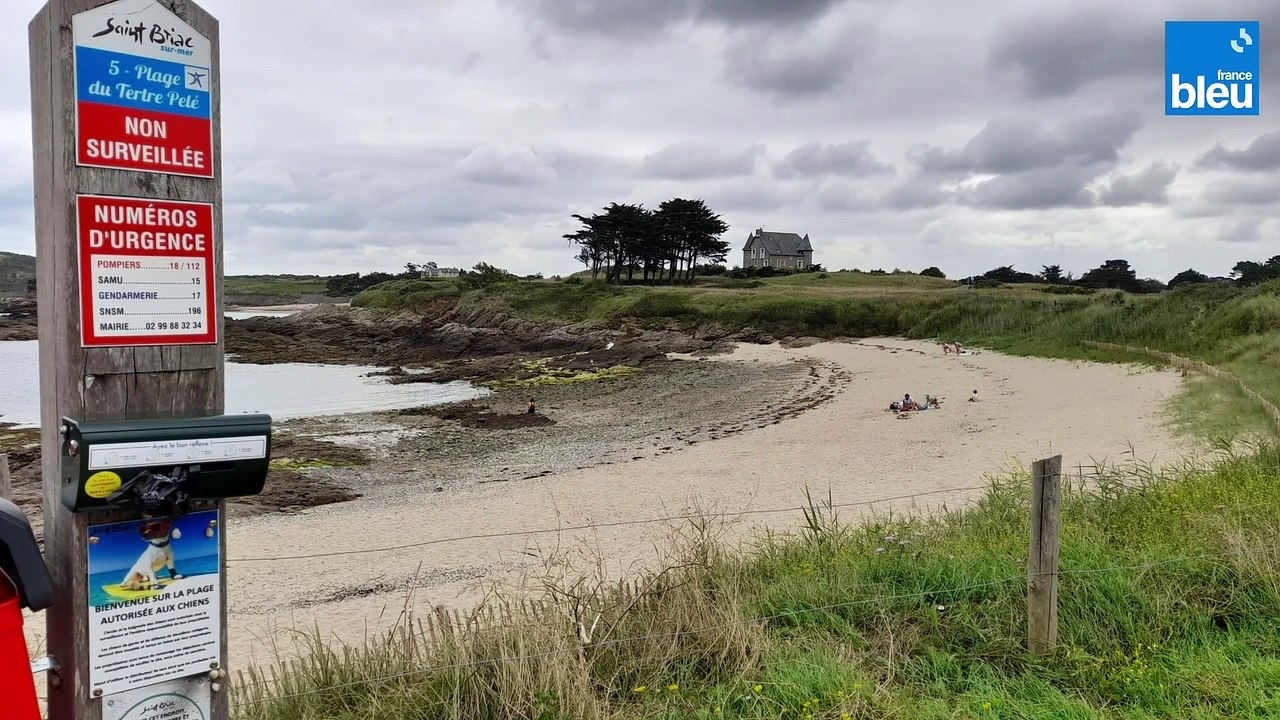 Une plage autorisée aux chiens à Saint-Briac