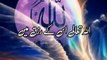 Allah Tala Kis ke Rizq Me Izafa Farma Deta Hai - Urdu Status Islamic Whatsapp Status