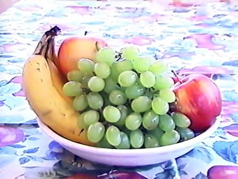 Signing Time! My First Signs Volume 1 (2002 VHS)