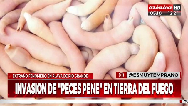 corte peces pene