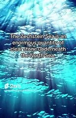 15 Seconds of Truth - Goodbye Industrial Grade Magnesium. Hello Clear-stone, Zero Solvent Magnesium.