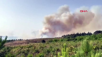 BEYKOZ'DA ORMAN YANGINI - 2