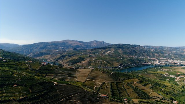 Quem são os jovens portugueses? Porto Canal faz raio-x à geração mais qualificada de sempre