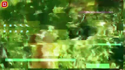 30 Moments Baboons Bravely Fight Tiger King To Rescue His Kind   Animal Fight