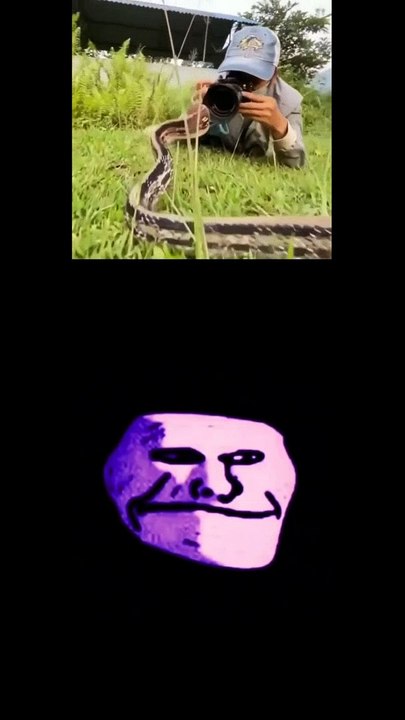 Funny 