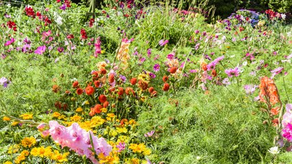 Chaos Gardening Is the Carefree Approach to Gardening Anyone Can Try