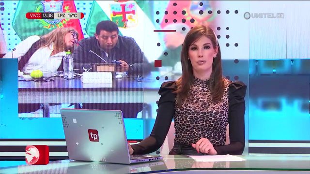 Elecciones Judiciales: legisladora dice que este viernes se conocerá un fallo del Tribunal Constitucional