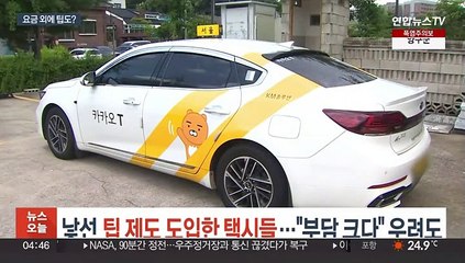 낯선 팁 제도 도입한 택시들…"부담 크다" 우려도