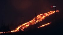 İzmir ve Antalya'da orman yangını! Alevlerle mücadele devam ediyor