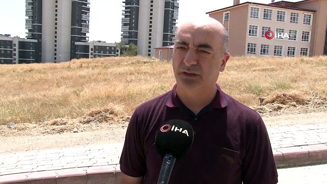 Köpeklerin saldırdığı 13 yaşındaki çocuk ölümden döndü