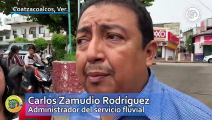 Lirio y palotada invaden el río Coatzacoalcos; ¿suspenderán servicio de transbordador?