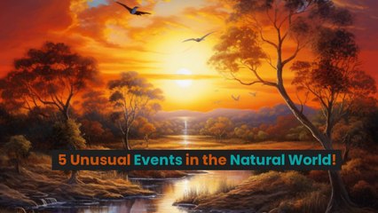 5 Unusual Events in the Natural World