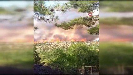 Kütahya'daki orman yangını 9 saat sonra kontrol altına alındı