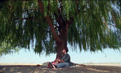 The Willow (Short Film - 16mm)