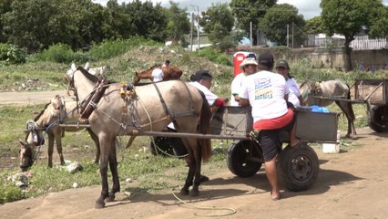 Alma instala nuevo punto de recolección de basura en Managua